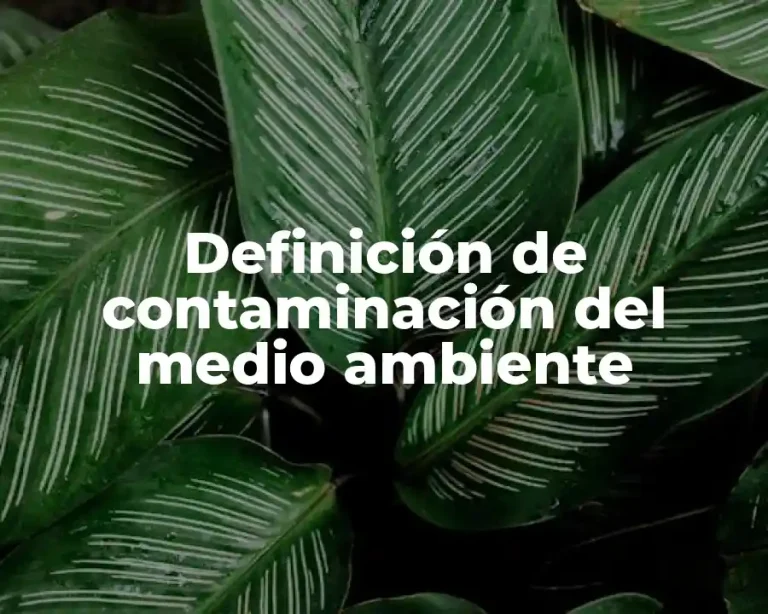 Definición de contaminación del medio ambiente