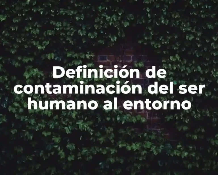 Definición de contaminación del ser humano al entorno