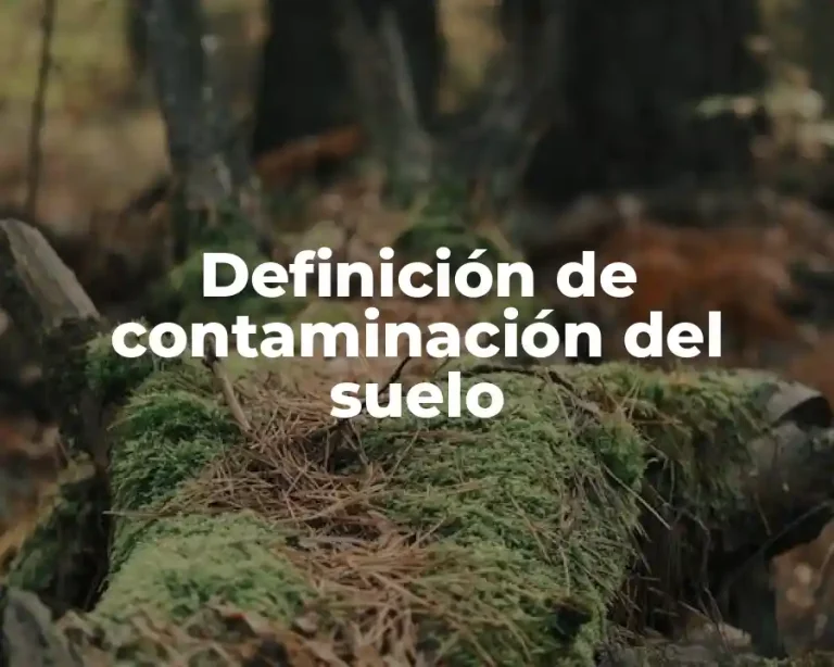 Definición de contaminación del suelo