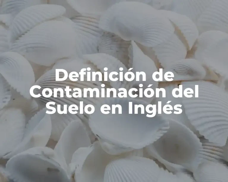Definición de Contaminación del Suelo en Inglés