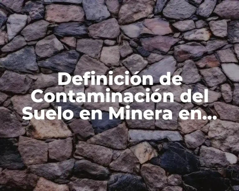 Definición de Contaminación del Suelo en Minera en Zacatecas