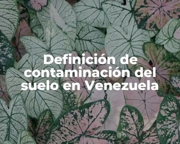 Definición de contaminación del suelo en Venezuela