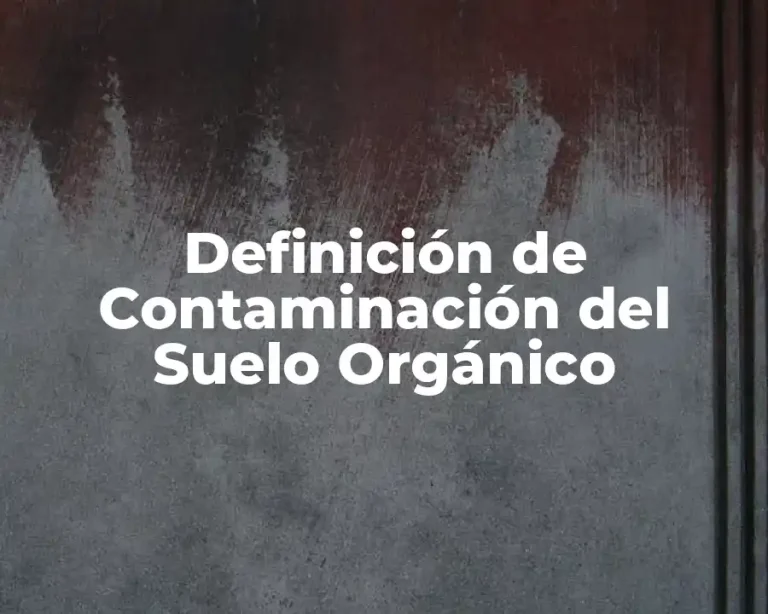 Definición de Contaminación del Suelo Orgánico