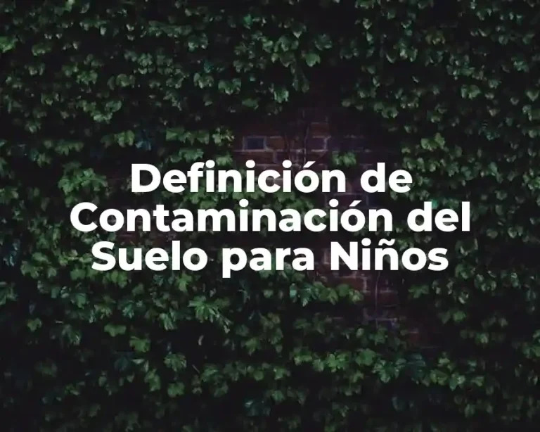 Definición de Contaminación del Suelo para Niños