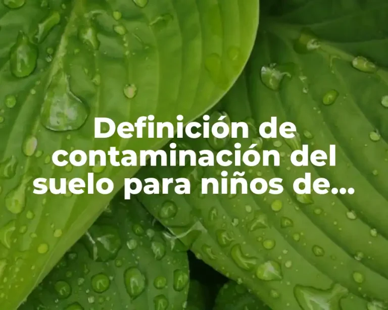 Definición de contaminación del suelo para niños de primaria