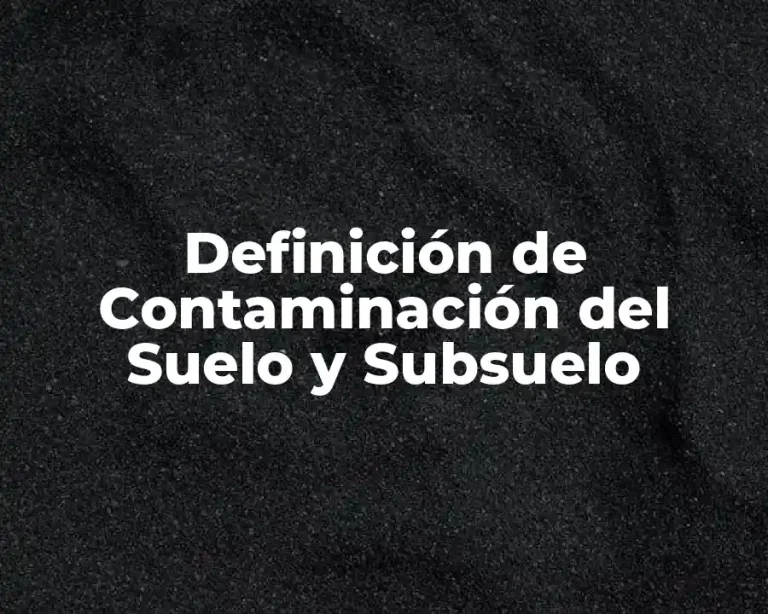 Definición de Contaminación del Suelo y Subsuelo