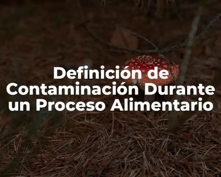 Definición de Contaminación Durante un Proceso Alimentario