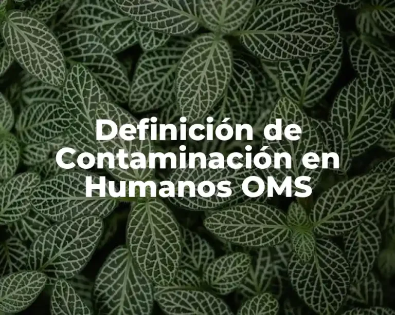 Definición de Contaminación en Humanos OMS