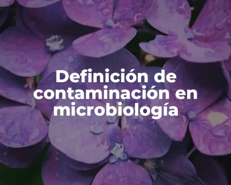 Definición de contaminación en microbiología