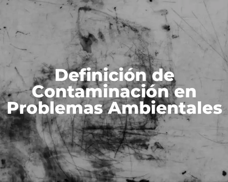 Definición de Contaminación en Problemas Ambientales