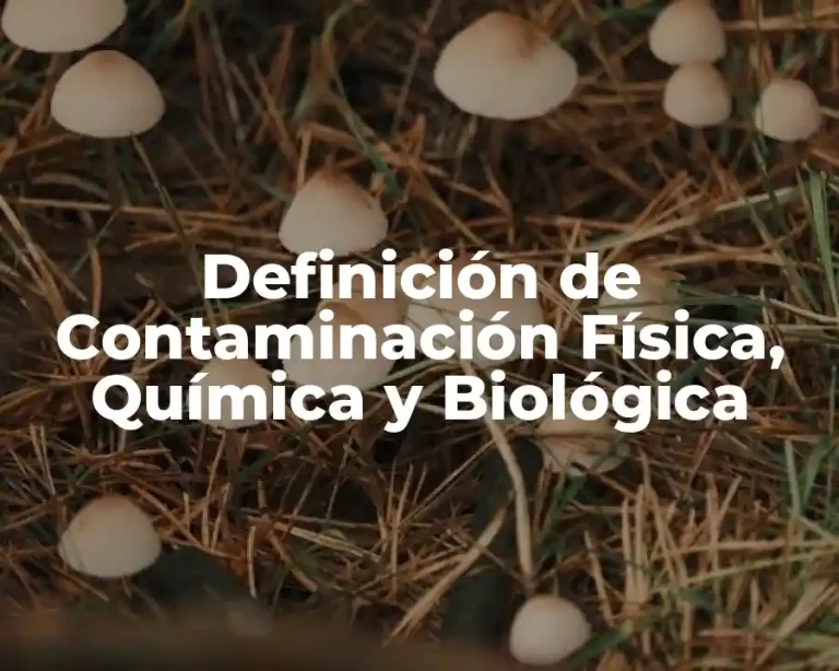 Definición de Contaminación Física, Química y Biológica