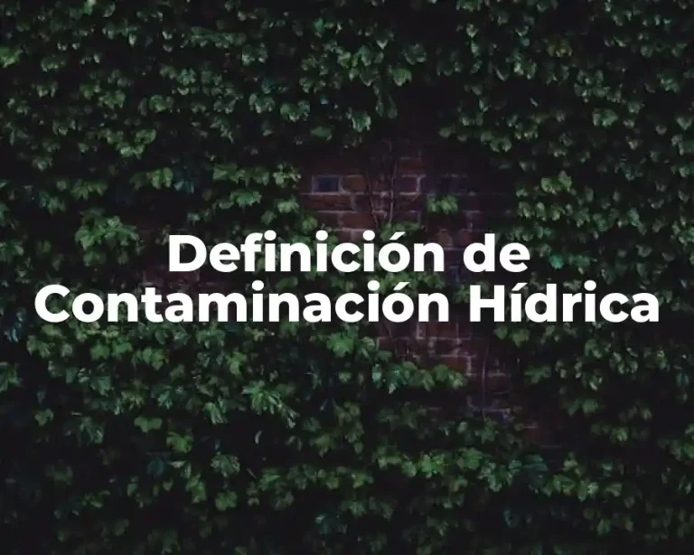 Definición de Contaminación Hídrica