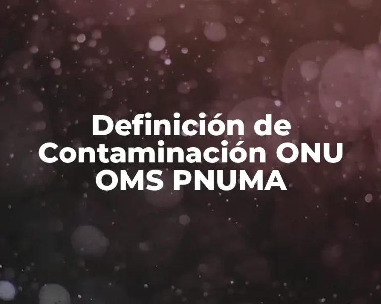 Definición de Contaminación ONU OMS PNUMA