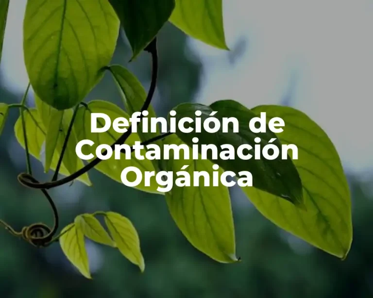 Definición de Contaminación Orgánica