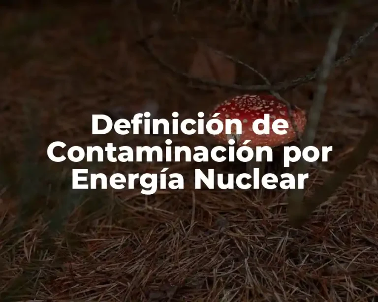 Definición de Contaminación por Energía Nuclear