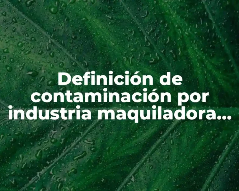 Definición de contaminación por industria maquiladora en CD Juárez
