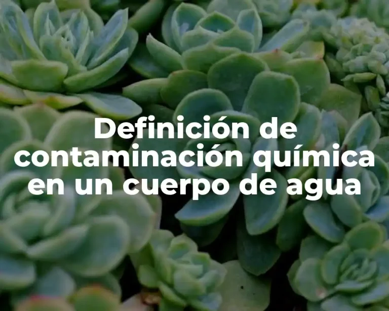 Definición de contaminación química en un cuerpo de agua