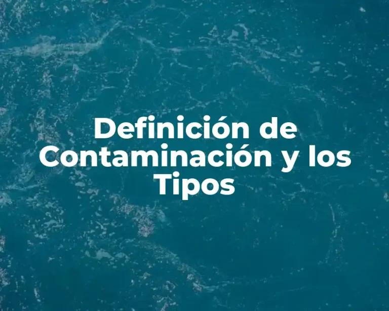 Definición de Contaminación y los Tipos