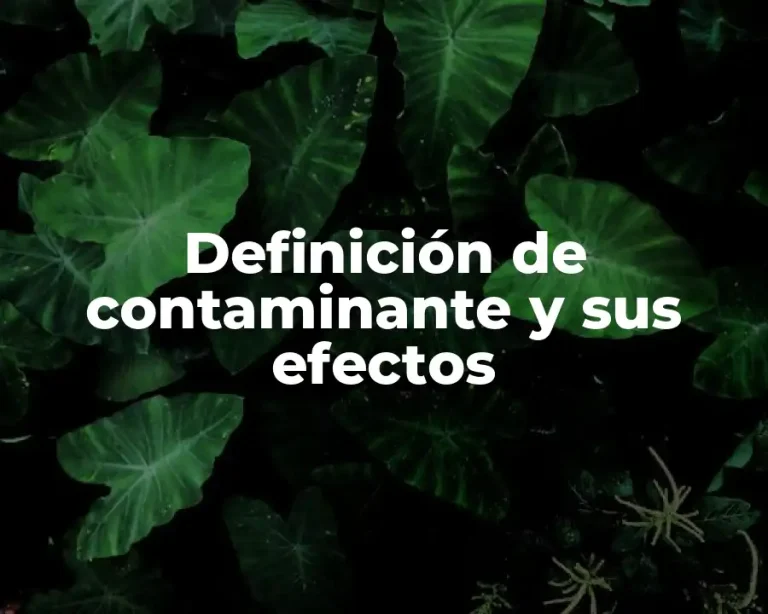 Definición de contaminante y sus efectos