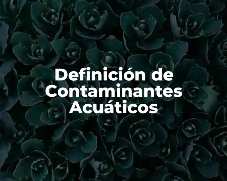 Definición de Contaminantes Acuáticos