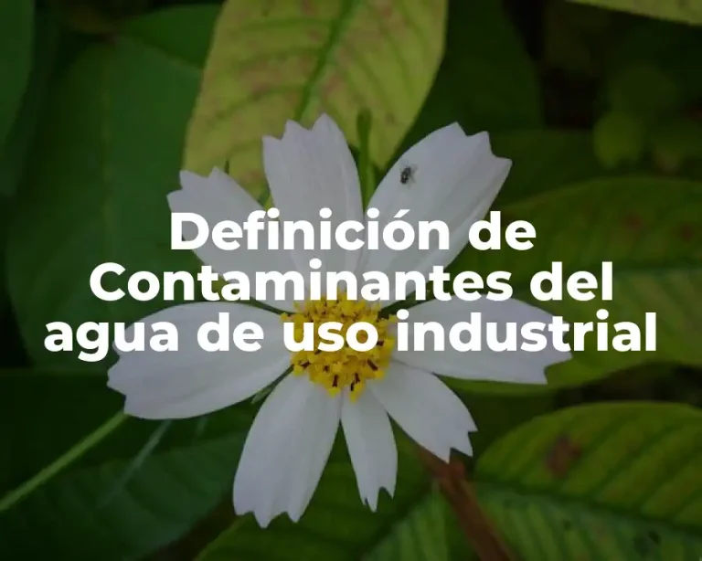 Definición de Contaminantes del agua de uso industrial