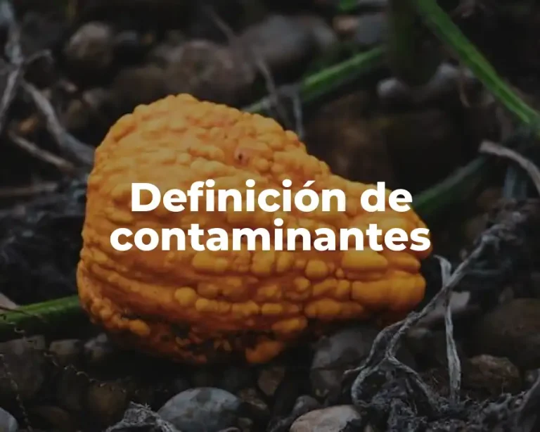 Definición de contaminantes