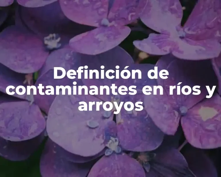 Definición de contaminantes en ríos y arroyos