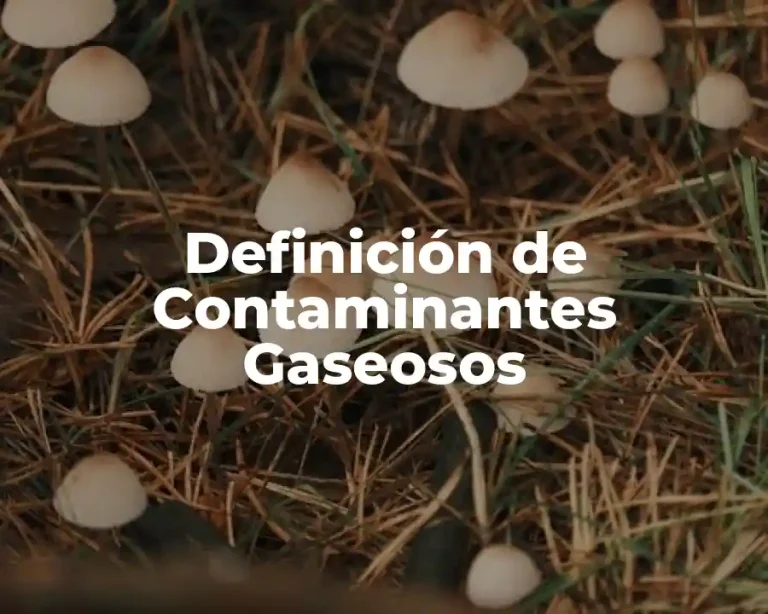 Definición de Contaminantes Gaseosos