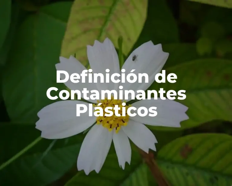 Definición de Contaminantes Plásticos