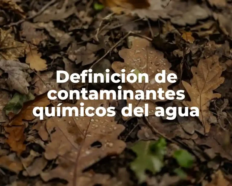 Definición de contaminantes químicos del agua