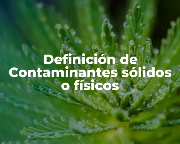 Definición de Contaminantes sólidos o físicos
