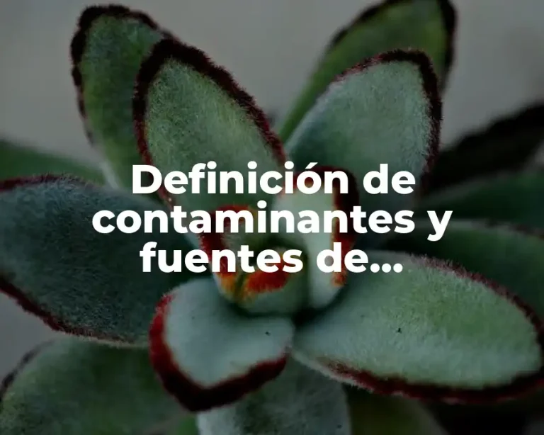 Definición de contaminantes y fuentes de contaminación