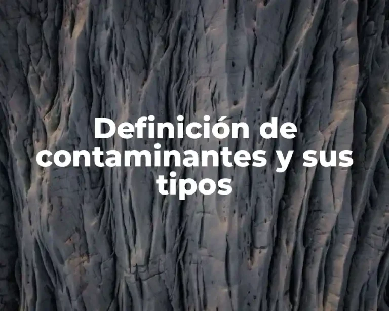 Definición de contaminantes y sus tipos