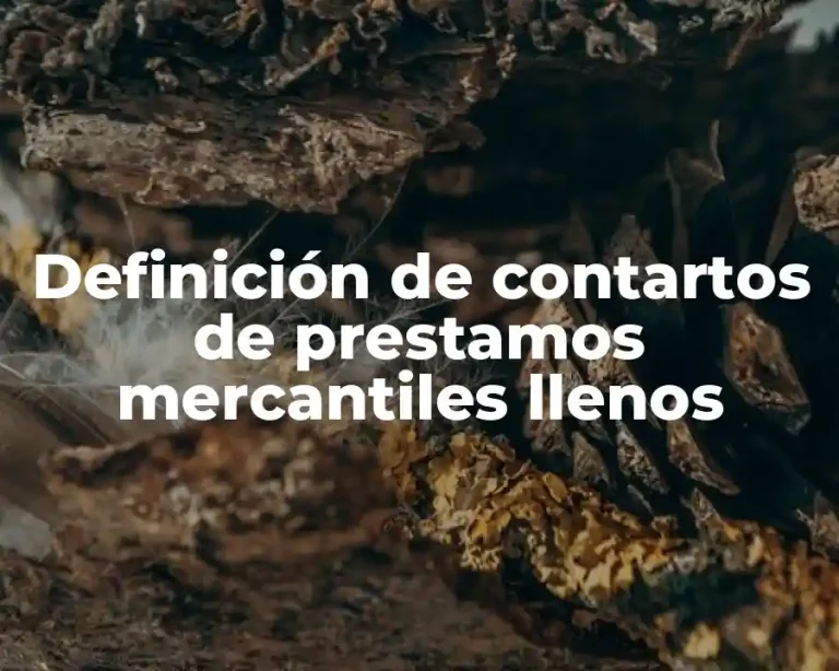 Definición de contartos de prestamos mercantiles llenos