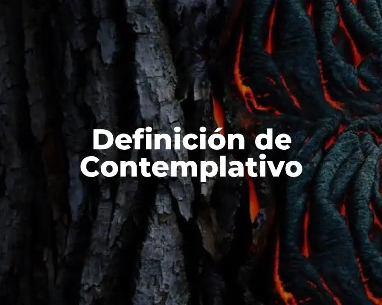 Definición de Contemplativo