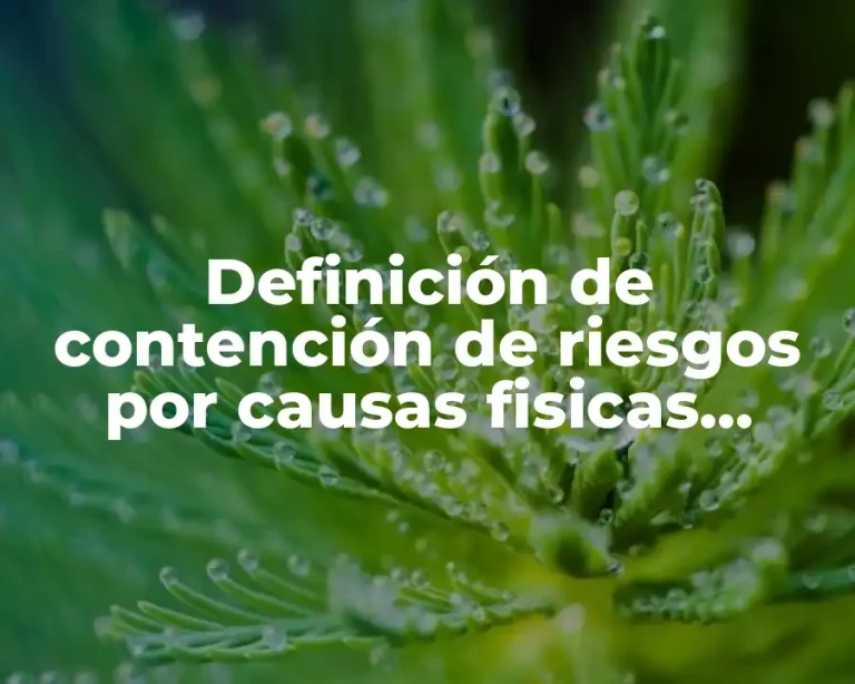 Definición de contención de riesgos por causas fisicas legales