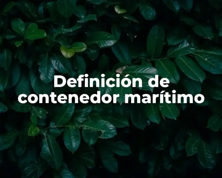 Definición de contenedor marítimo