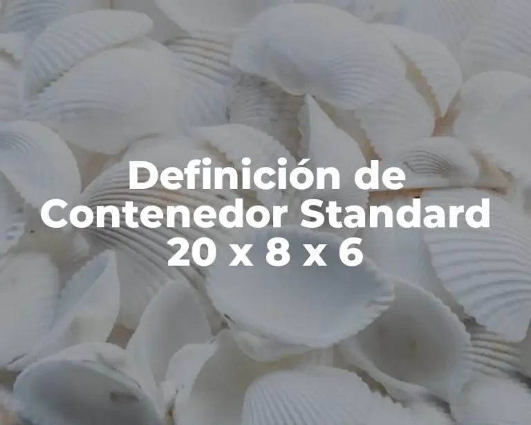 Definición de Contenedor Standard 20 x 8 x 6