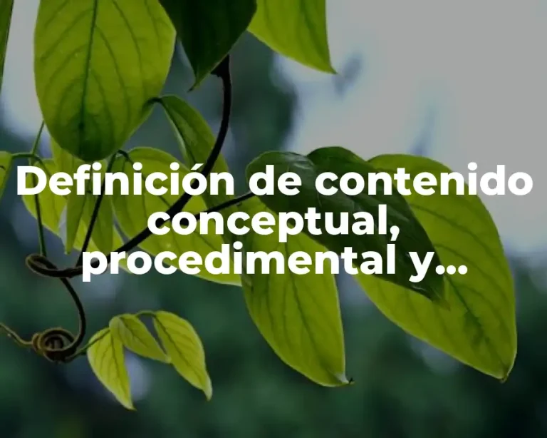 Definición de contenido conceptual, procedimental y actitudinal