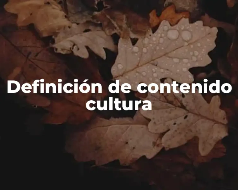 Definición de contenido cultura