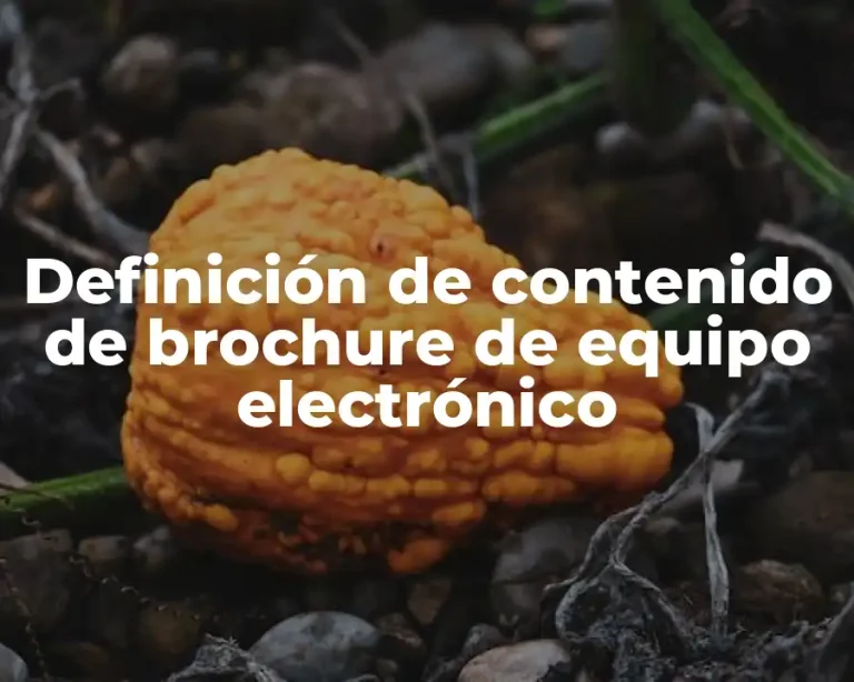 Definición de contenido de brochure de equipo electrónico