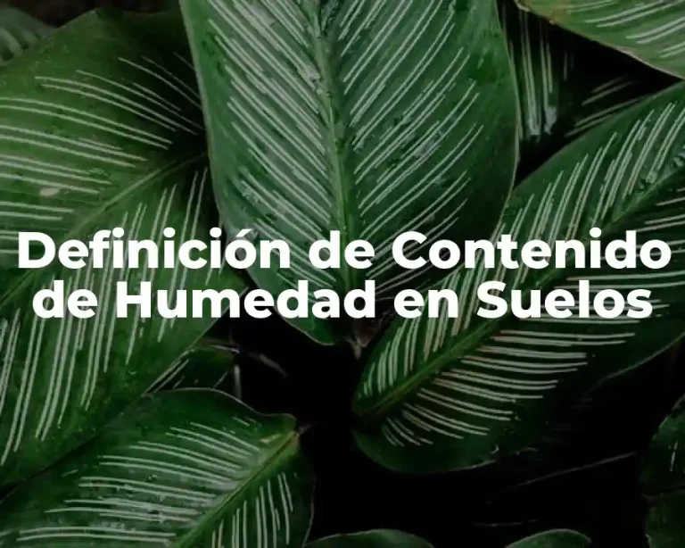 Definición de Contenido de Humedad en Suelos
