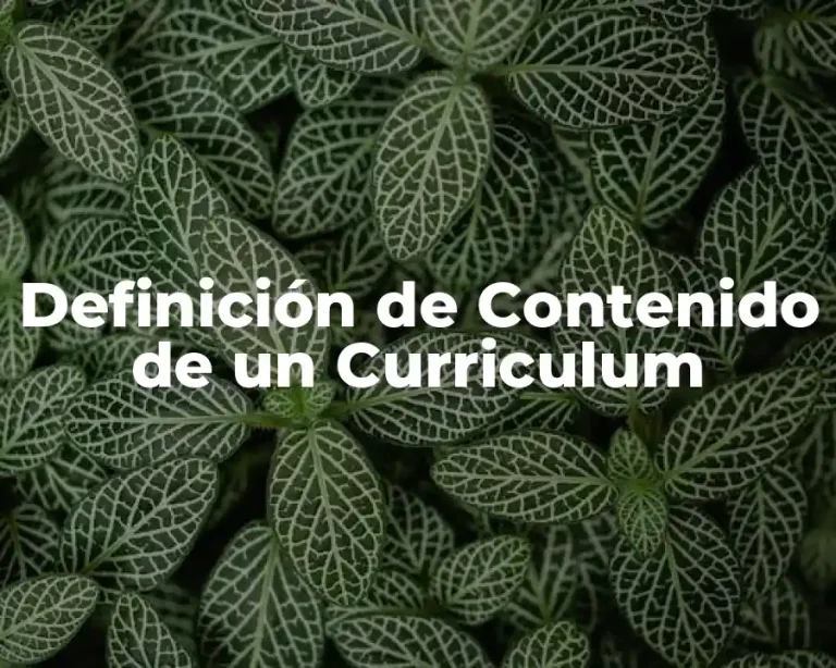 Definición de Contenido de un Curriculum
