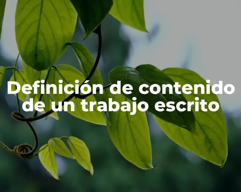 Definición de contenido de un trabajo escrito