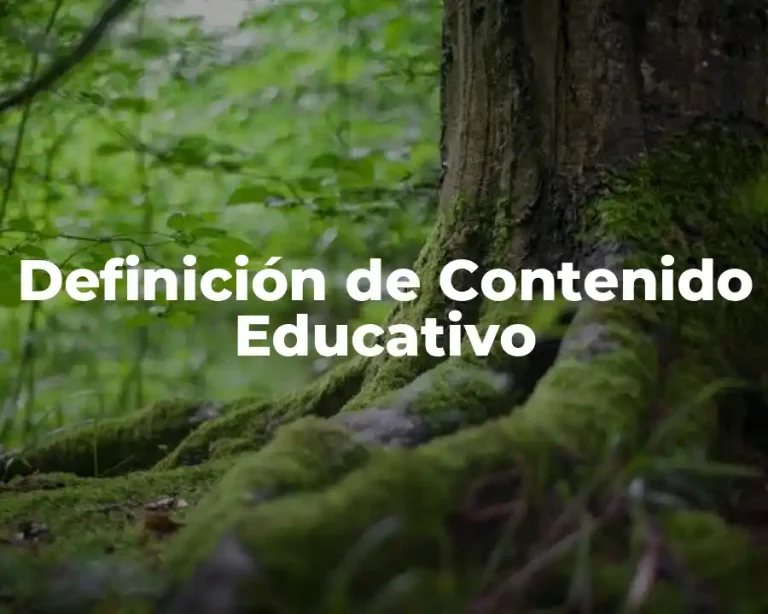 Definición de Contenido Educativo