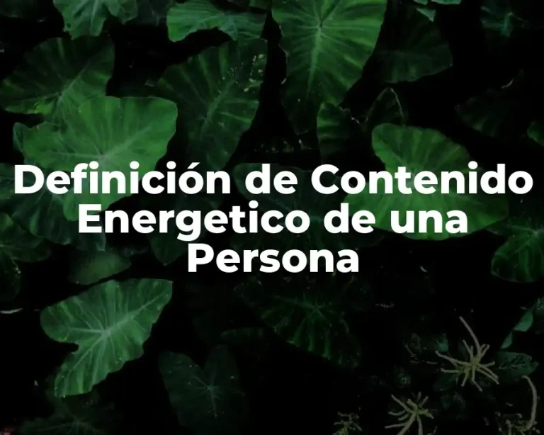 Definición de Contenido Energetico de una Persona