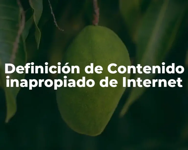 Definición de Contenido inapropiado de Internet