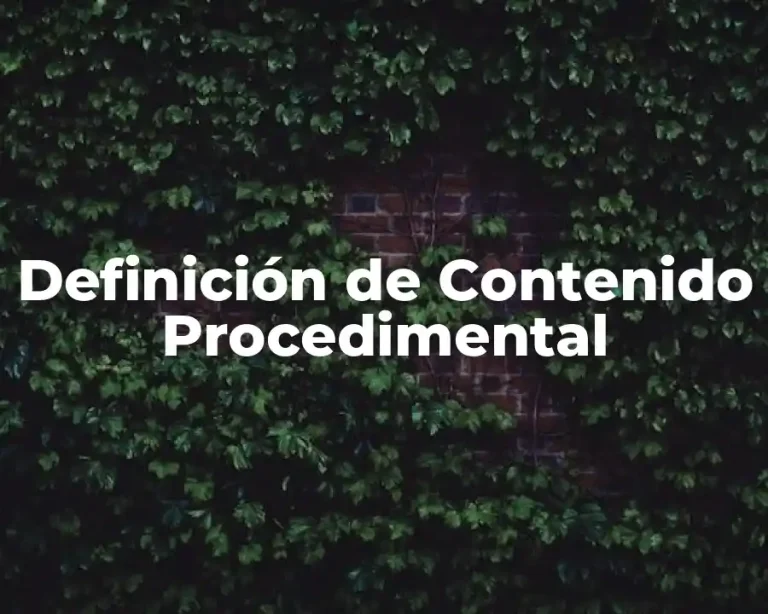 Definición de Contenido Procedimental