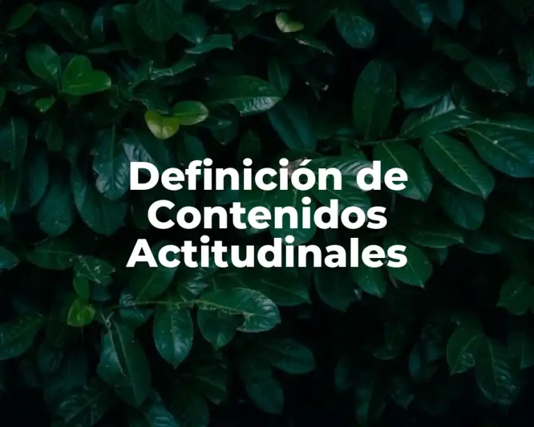 Definición de Contenidos Actitudinales