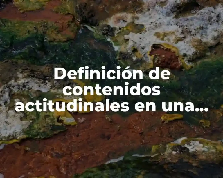 Definición de contenidos actitudinales en una planificación